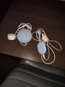 Google nest mini and chromecast