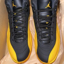 Jordan 12s