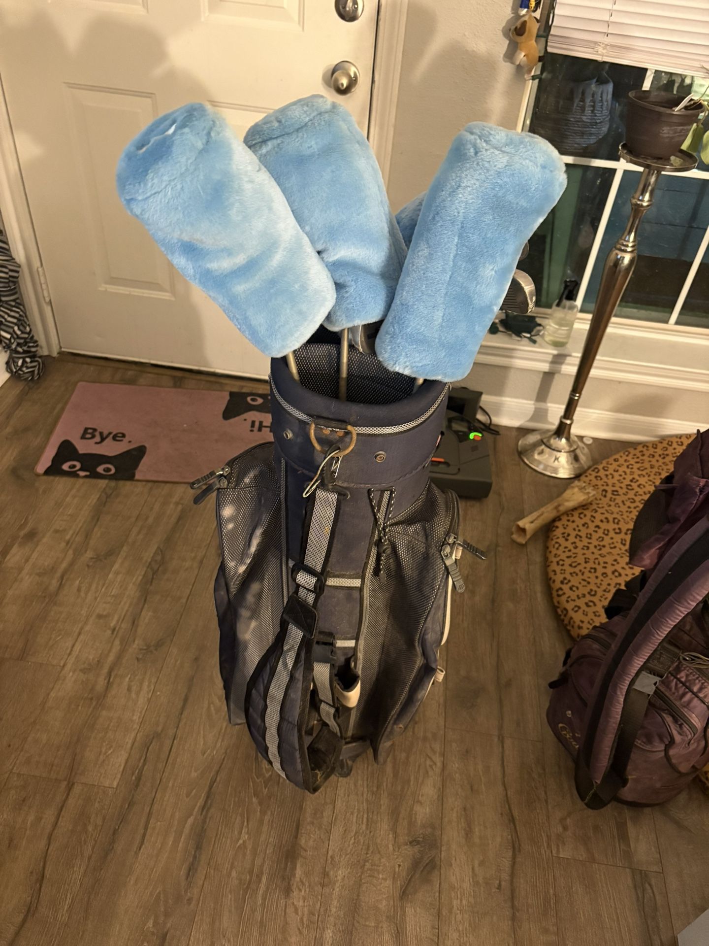 Golf Clubs and Bag