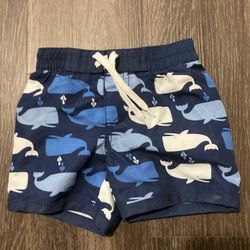 Swim Trunks 