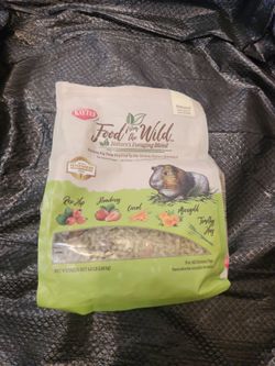 Guinea Pig Food