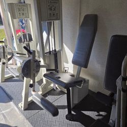 Hamstring Curl Machine 