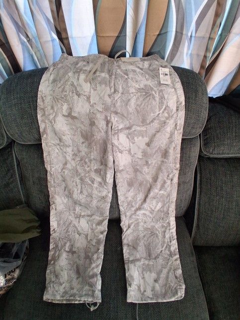 Holister Joggers