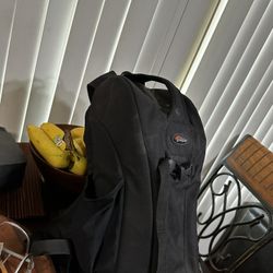 Lowepro Flip Side 300 Camera Bag 