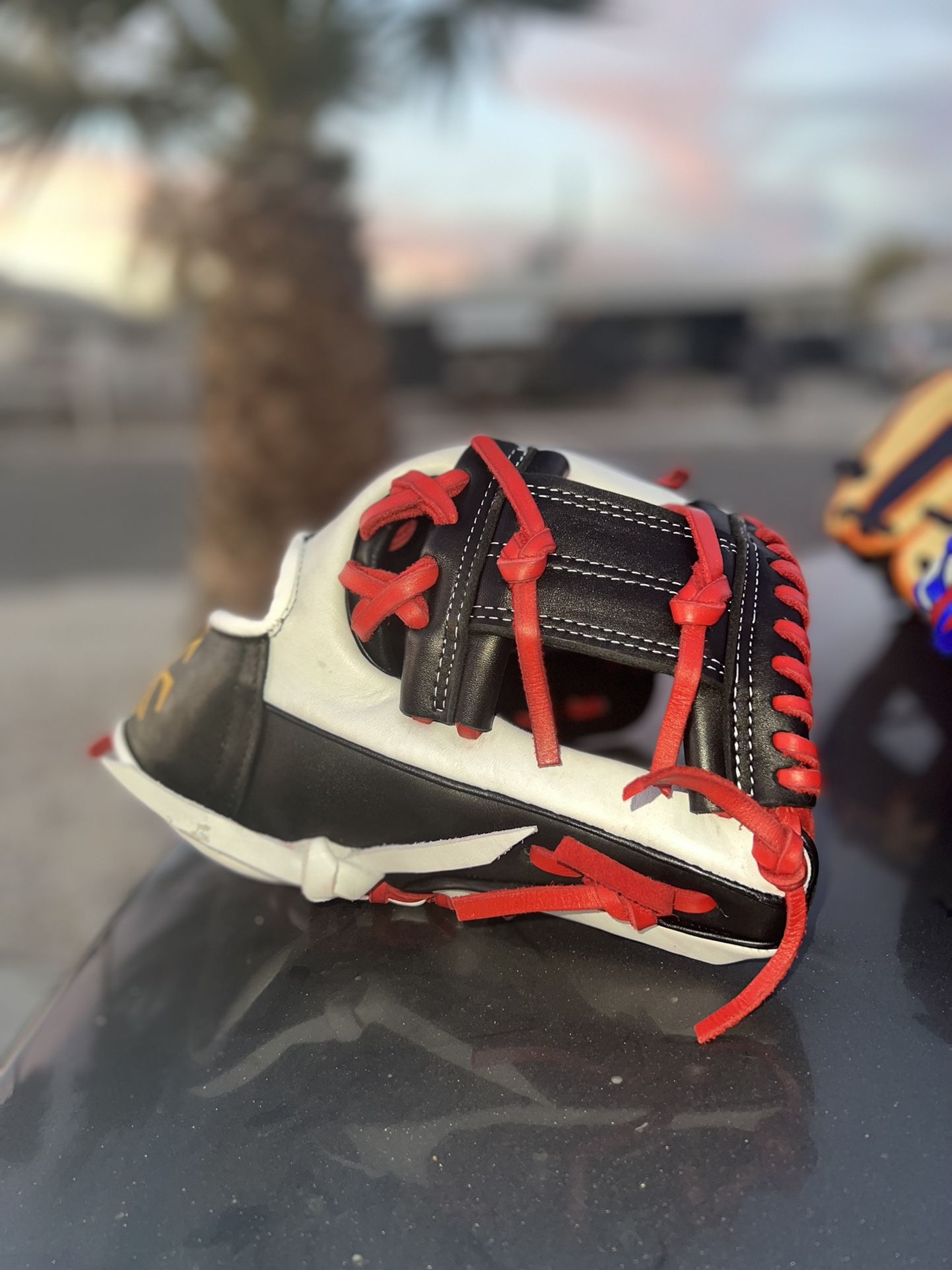 Baseball Glove
