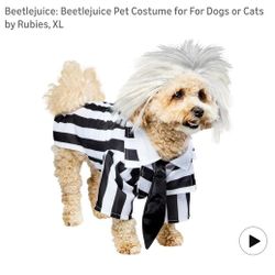 Beetlejuice: Beetlejuice Pet Costume for For Dogs or Cats by Rubies, XL
