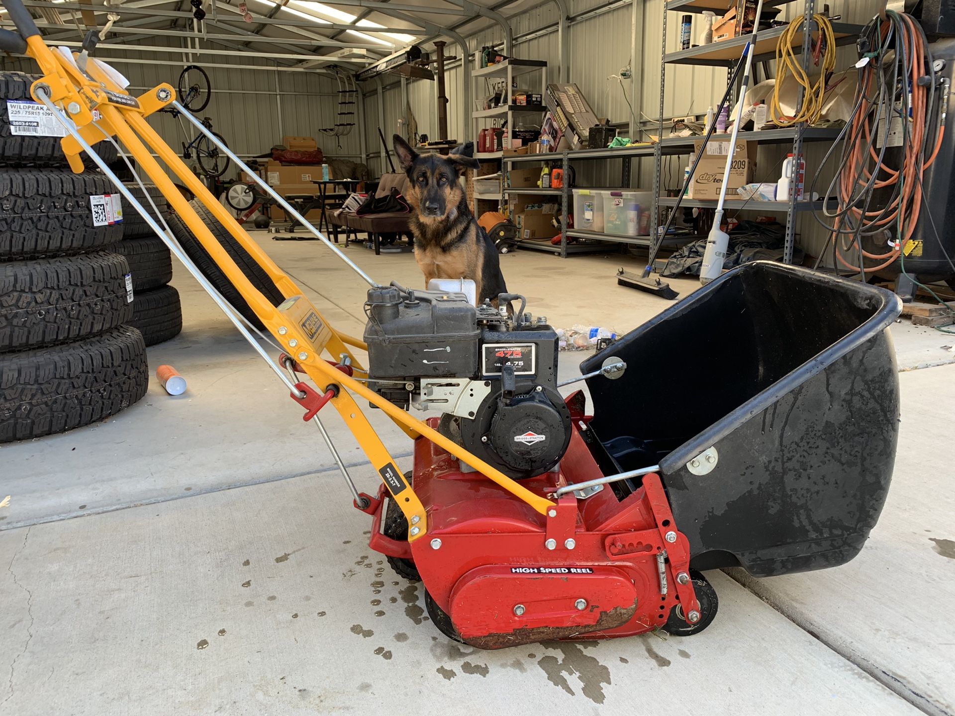 Mclane 7 Blade Front Throw Reel Mower for Sale in Bakersfield, CA OfferUp
