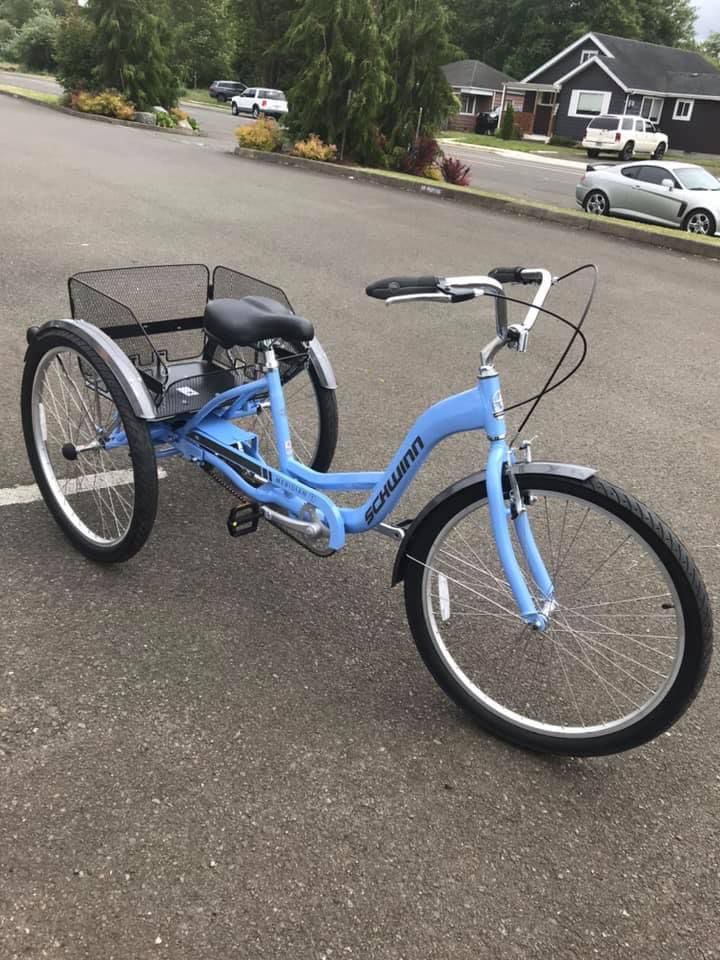 Adult Schwinn Tricycle