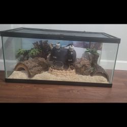50 Gallon Tank 