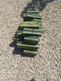 Free Cactus