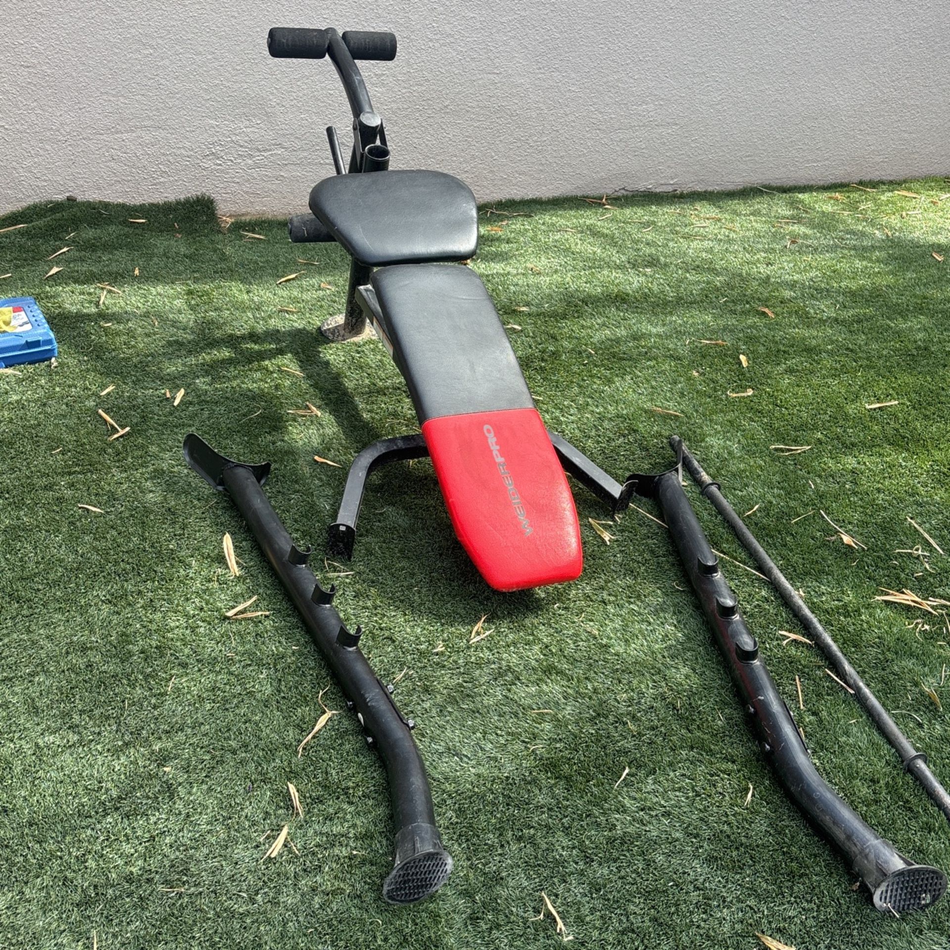 Bench Press