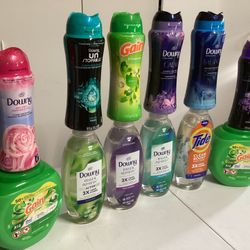 Household Cleaning 