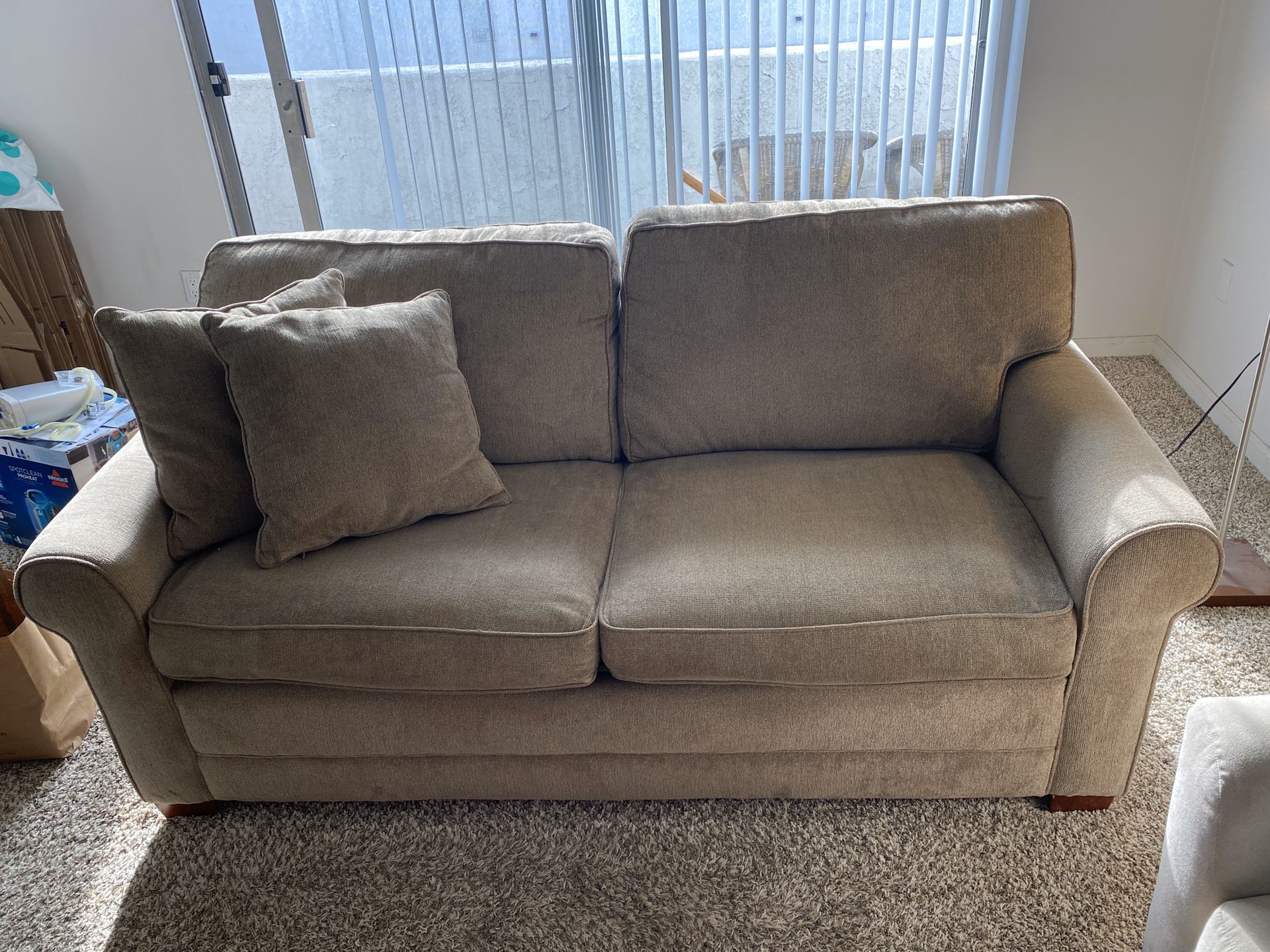 Costco Loveseat Sofa & Fold-our Sleeper Bed
