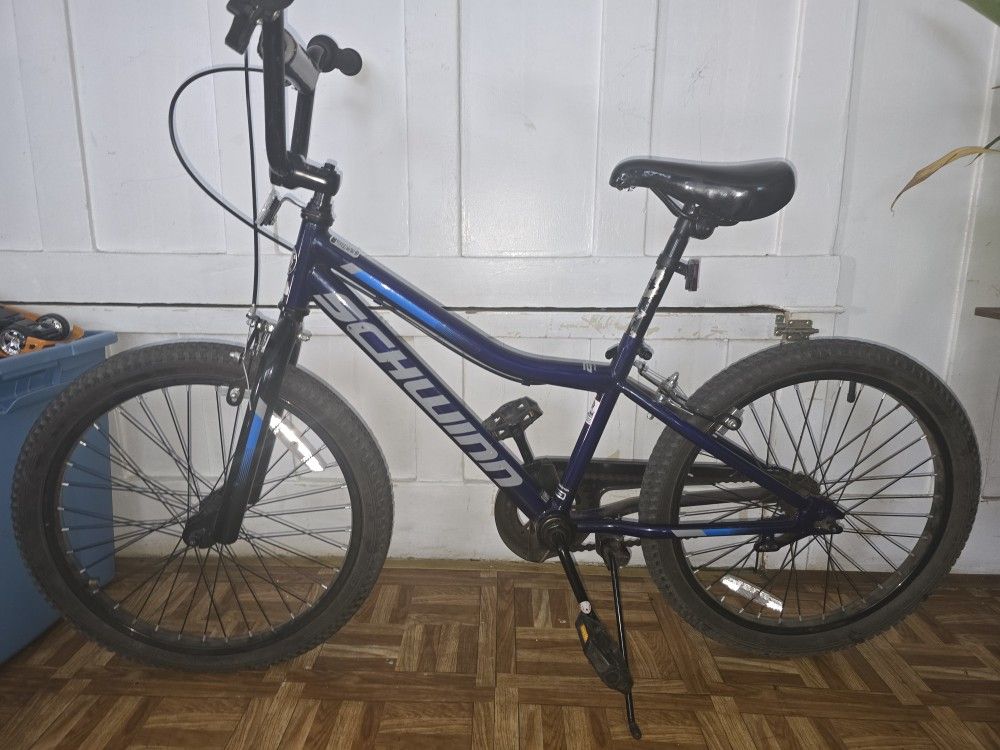 Schwinn Kid Bike