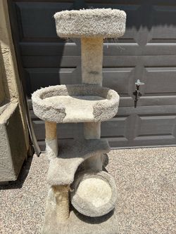 Cat Condo 56” height