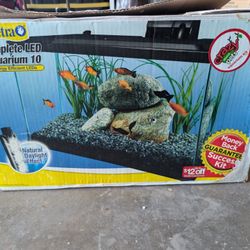 Fish Aquarium 