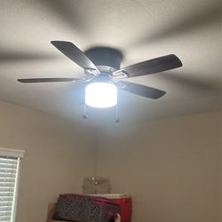 Ceiling Fan