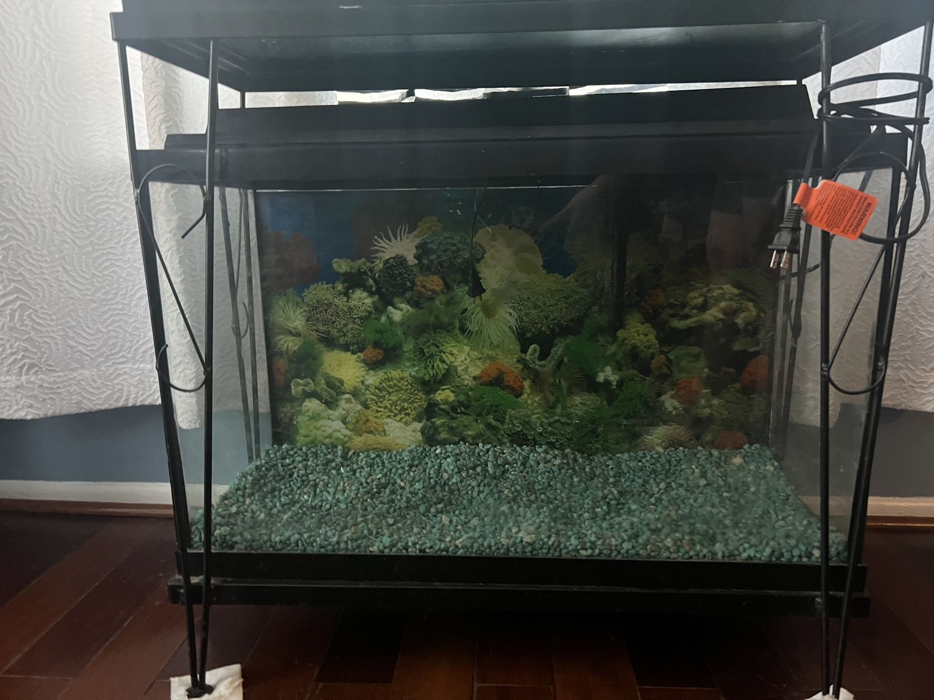 Fish Tank