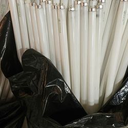 80+ T8 lightbulbs