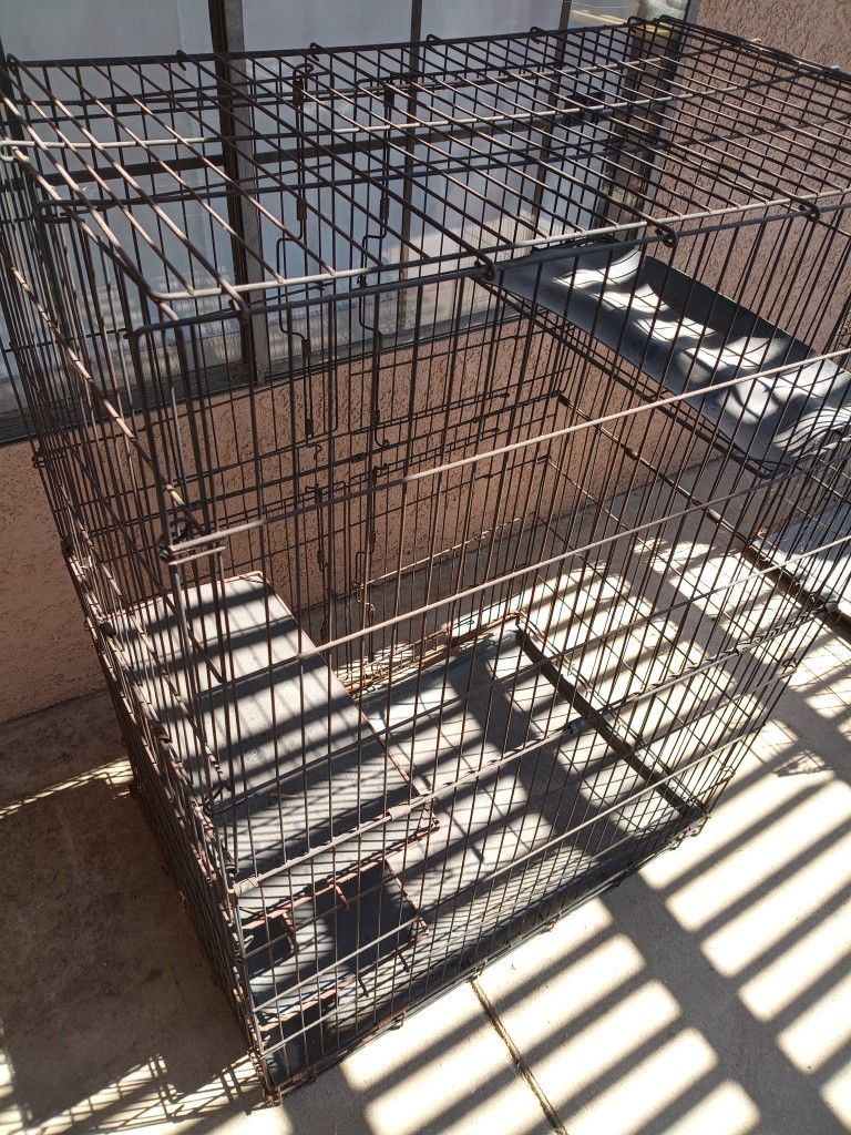 Cat 4 Level Play House.