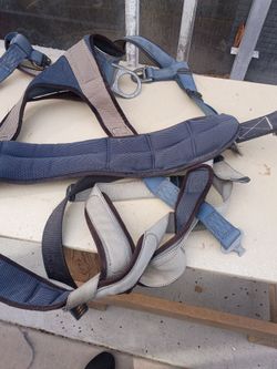 Harness