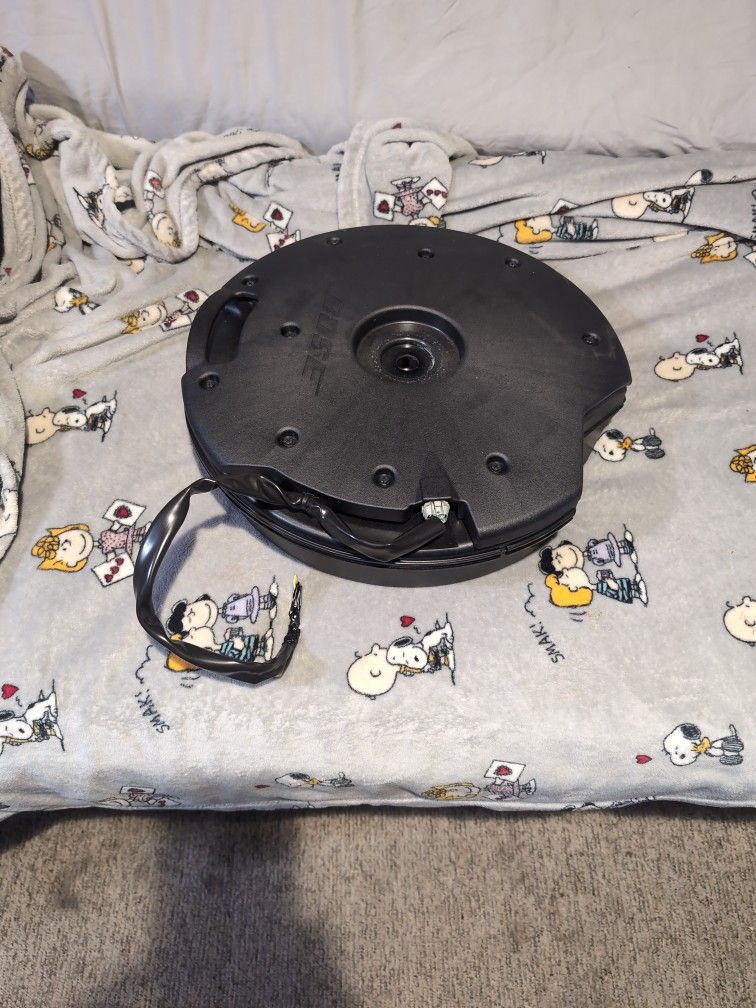 Bose Spare Tire Well Sub