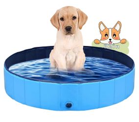Dog Pool 