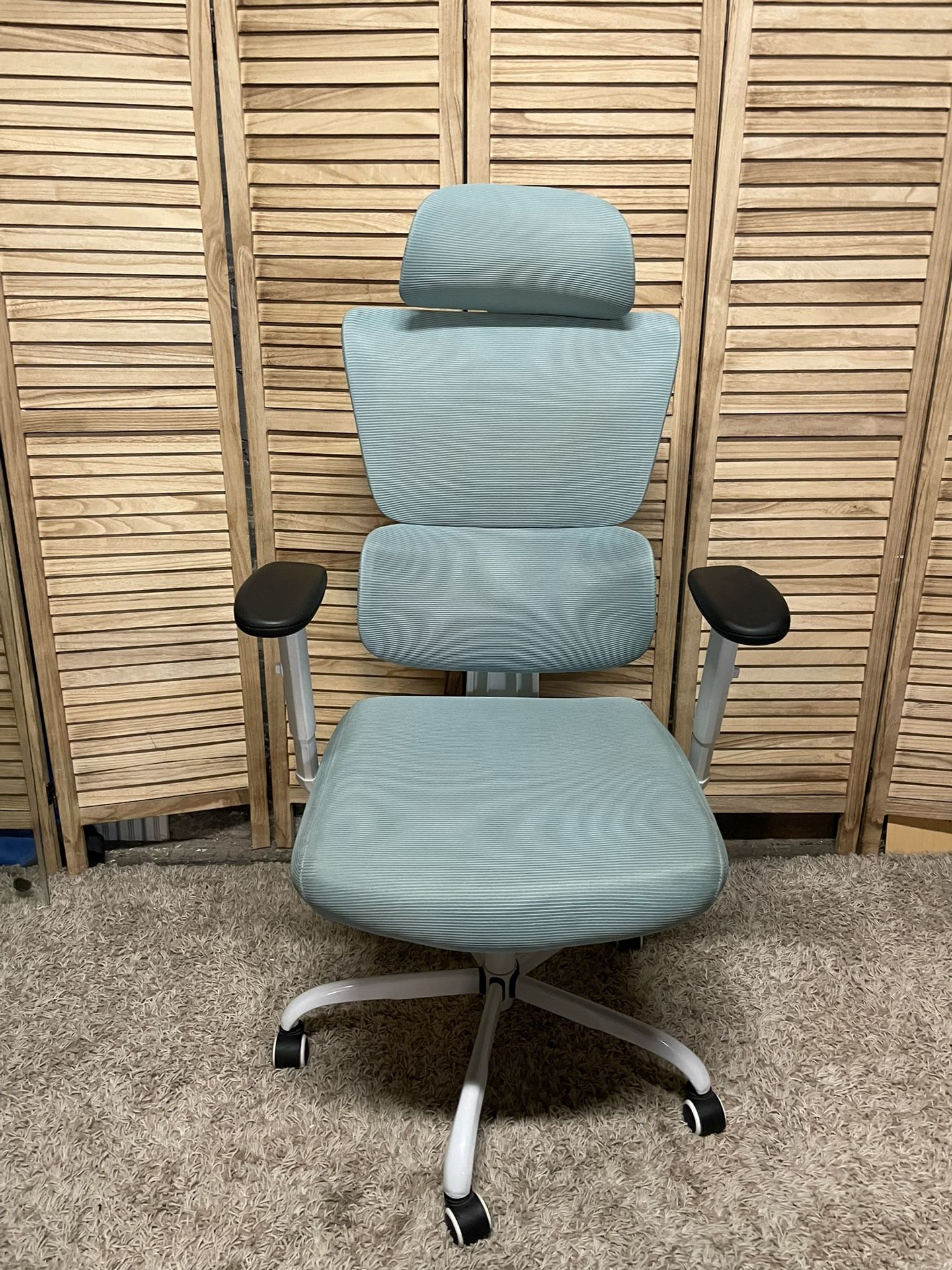Ergonomic Office Chair