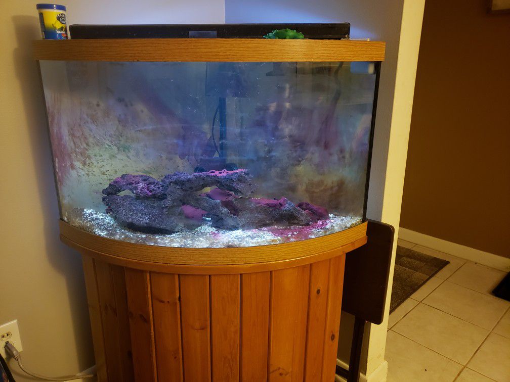 55 gallon bow front corner tank with stand