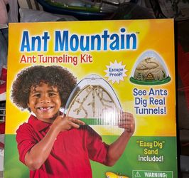 New ant farm
