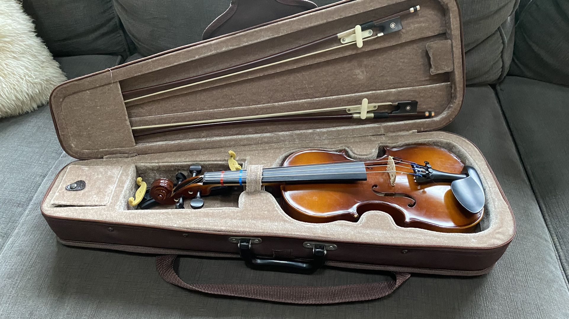 Violin