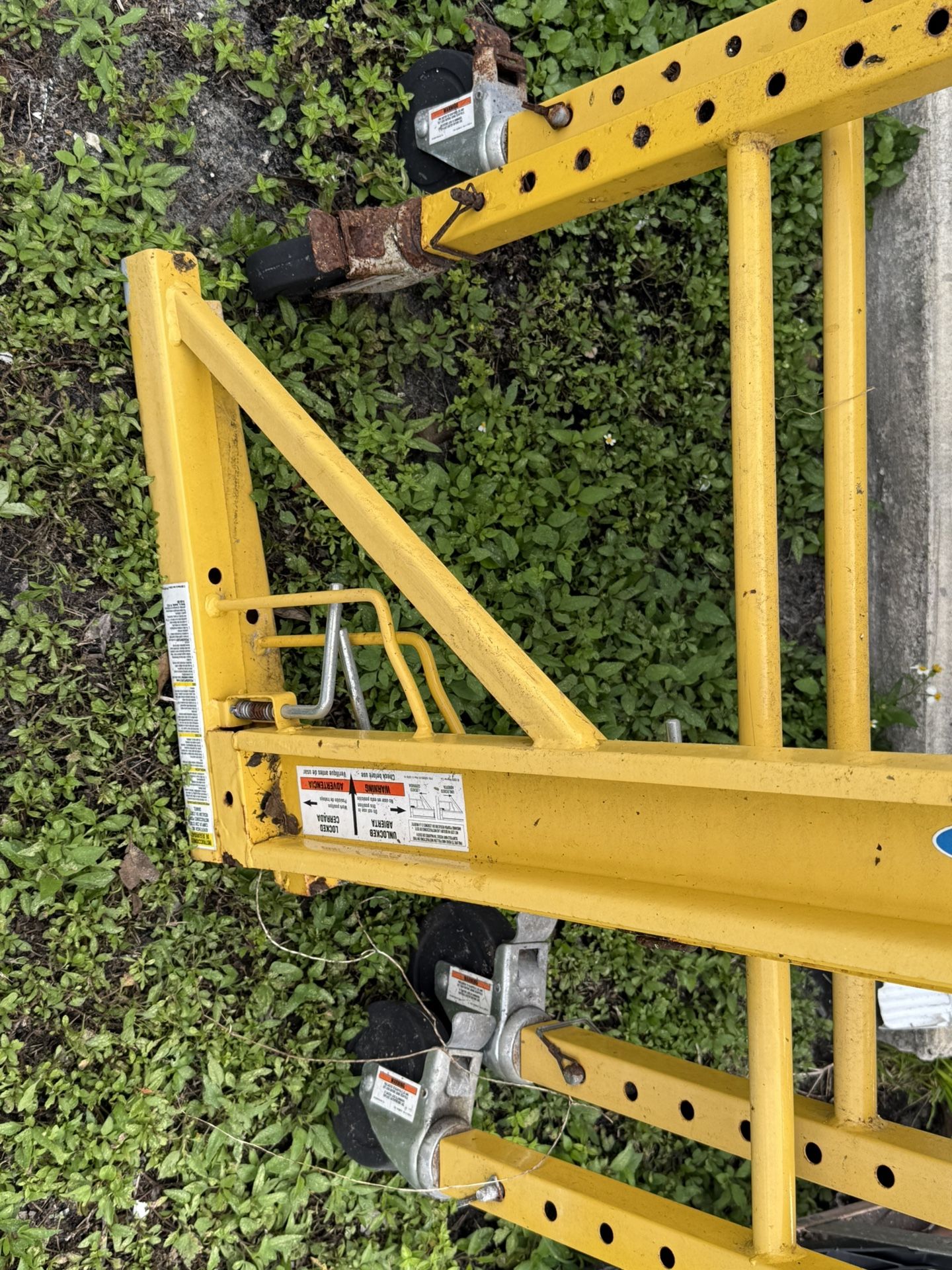 Scaffold