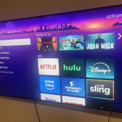 Samsung 55” TV