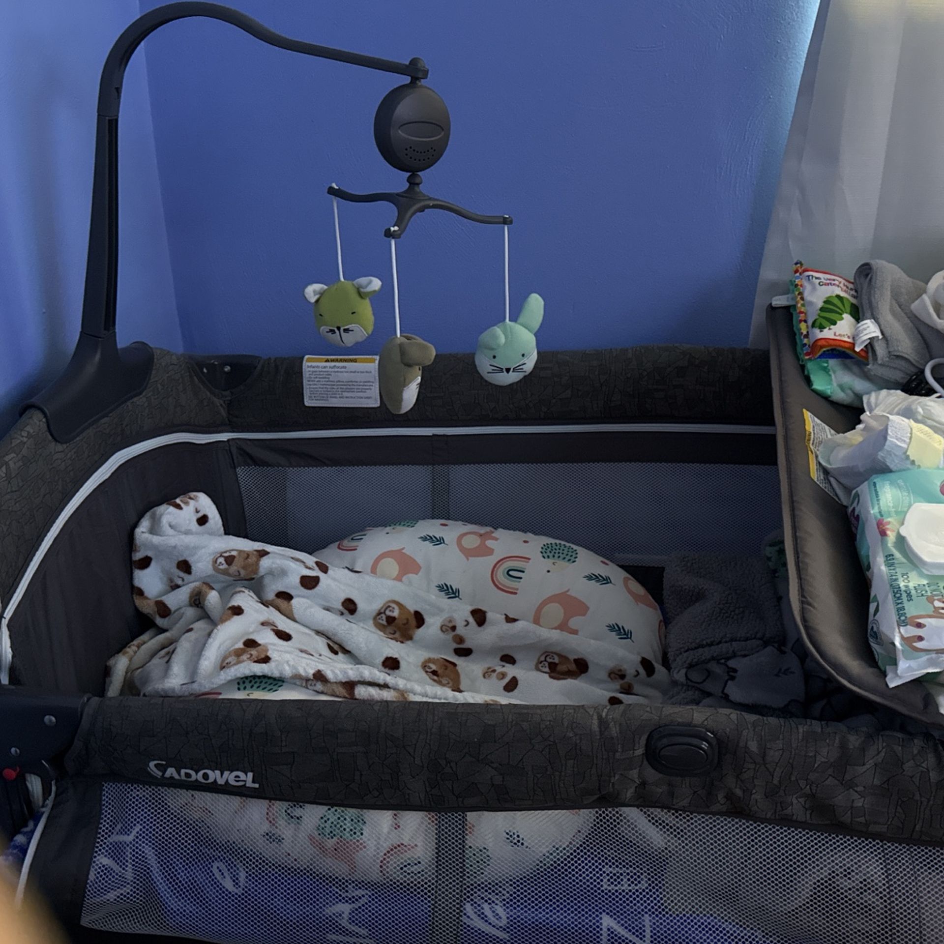 Baby Basinet