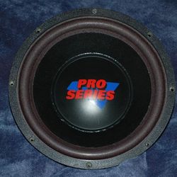 2 10 Inch Pro Series Subs 
