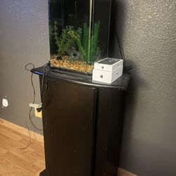 5 Gallon Fish tank With Stand 