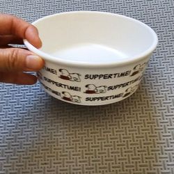 Snnopy Peanuts Pet Bowl