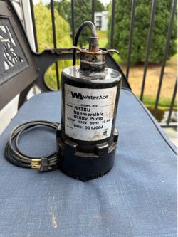 WaterAce submersible utility pump
