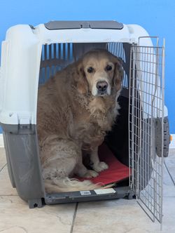 Skudo 7 Large Dog Crate / Pet Carrier — Golden Retriever & big breeds (Good condition)