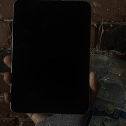 iPad Mini Generation 6 64gb USED Purple Color