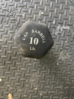 10 Pound Dumbbell 
