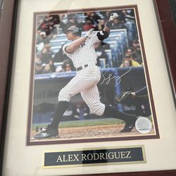 Alex Rodriguez Signed Photo