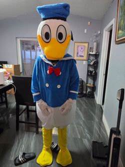 Donald duck  birthday party costume