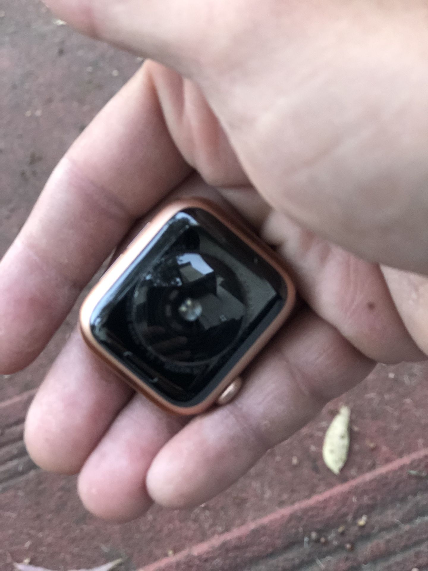 Apple Watch Se