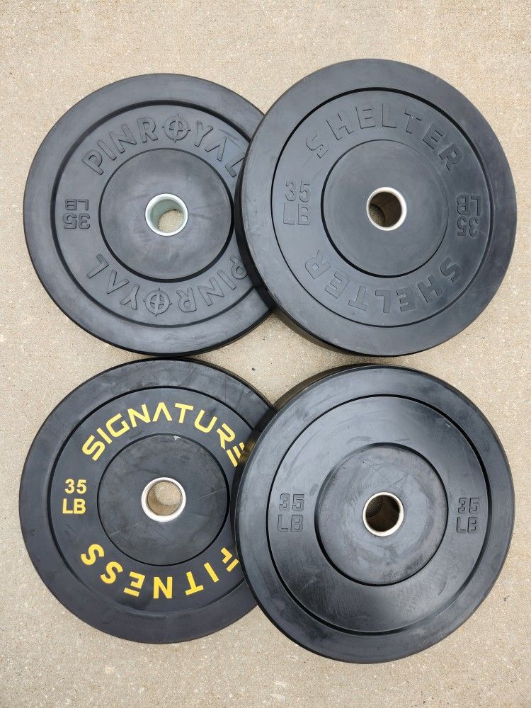 35lb Mismatched Bumper Weight Plates