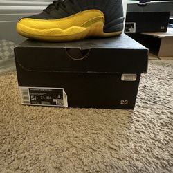 Air Jordan retro 12