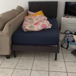 two single beds with mattresses