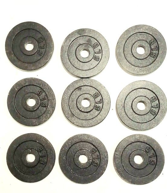 Cast Irons 5 Lbs Metal Weight Plates