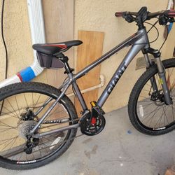 MT Giant 1 Revel Dics Brake Suspension 