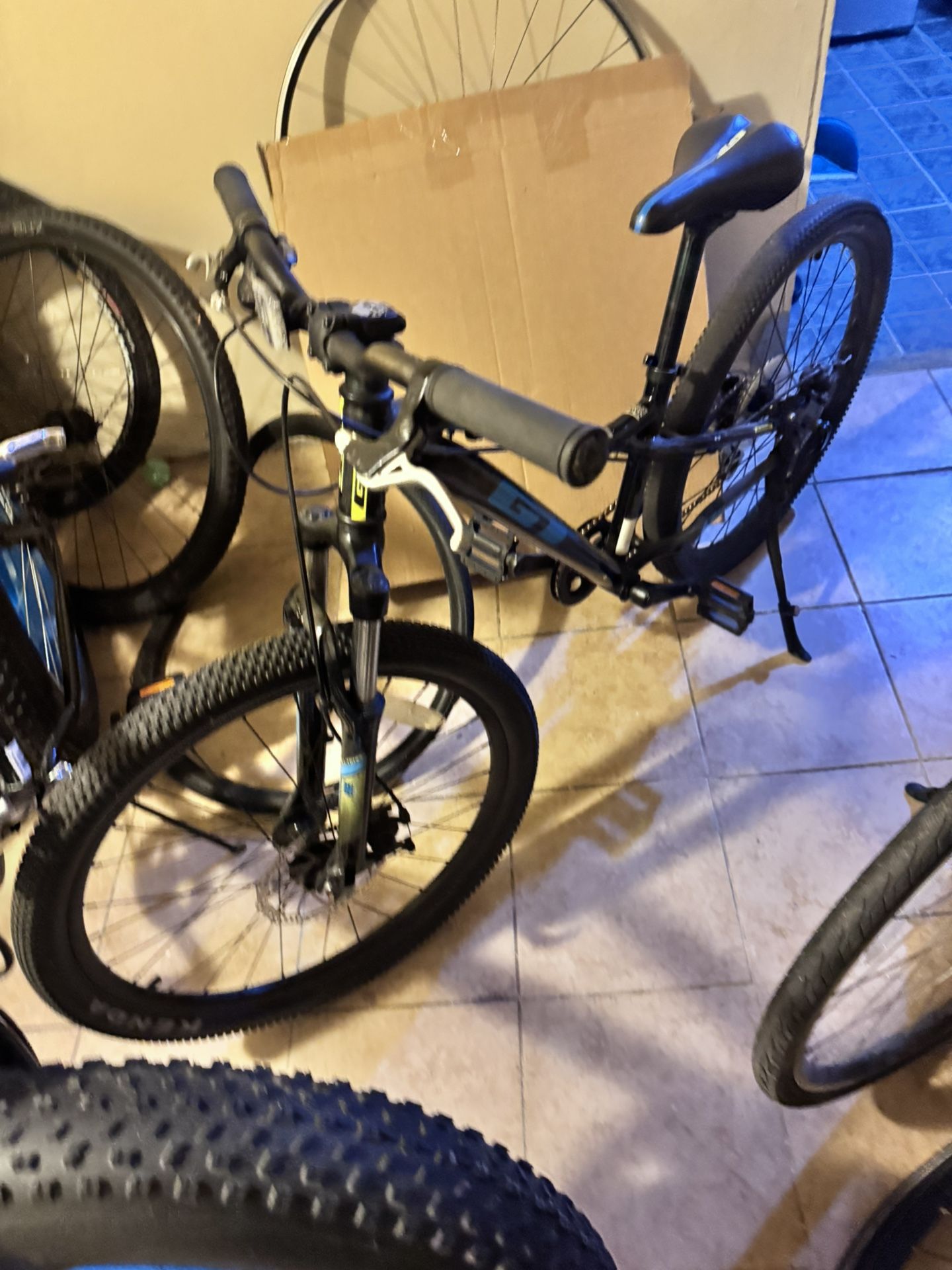 GT Disc Brake Kids Bike